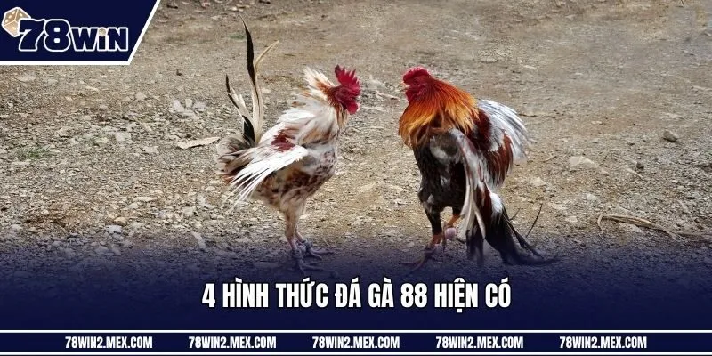 4 hình thức đá gà 88 hiện có