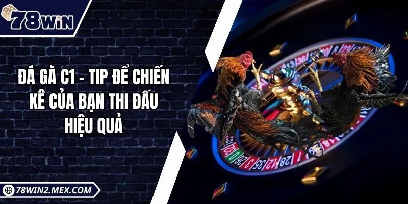 Đá gà C1 - Tip để chiến kê của bạn thi đấu hiệu quả