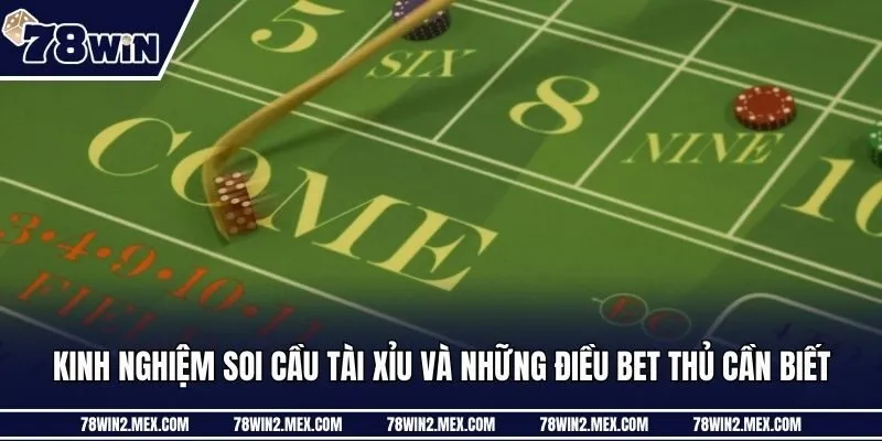 Kinh nghiệm soi cầu tài xỉu và những điều bet thủ cần biết