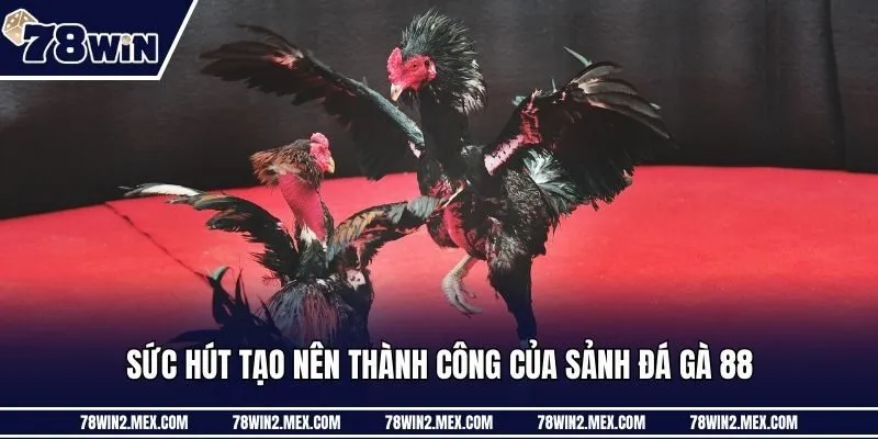 Sức hút tạo nên thành công của sảnh đá gà 88