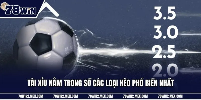 Tài xỉu nằm trong số các loại kèo phổ biến nhất