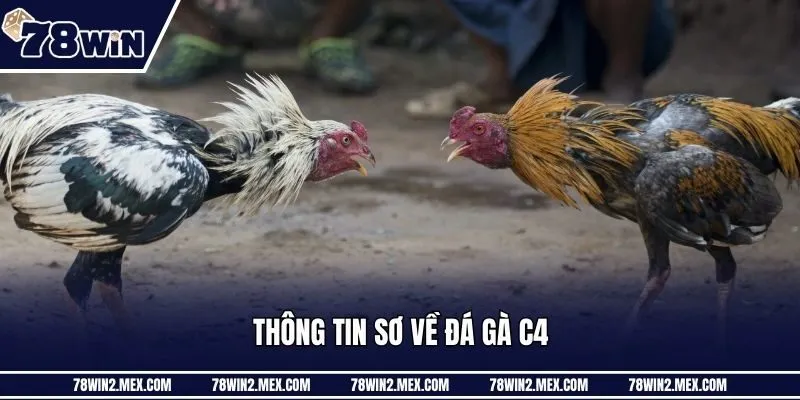 Thông tin sơ về đá gà C4