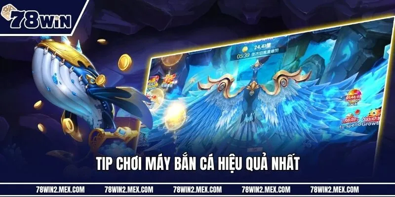 Tip chơi máy bắn cá hiệu quả nhất