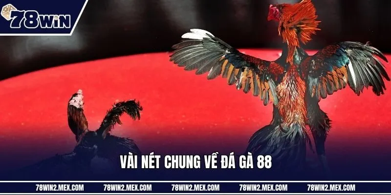 Vài nét chung về đá gà 88